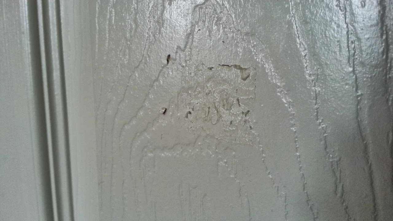 Cricut Cardiologist How to Remove Foam Tape from a Painted Door